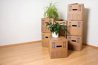 move office